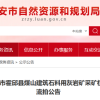 起始價(jià)8億元！安徽一建筑石料用灰?guī)r礦無(wú)人報(bào)價(jià)流拍